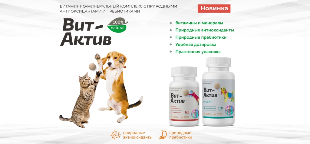 Баннер ВитАктив 1024х477.jpg