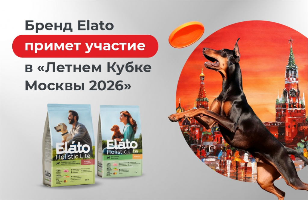 Новость летний кубок.jpg Новость летний кубок.jpg